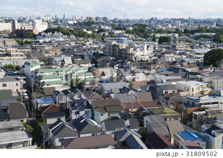 東京の住宅街　杉並区　俯瞰撮影 31809502