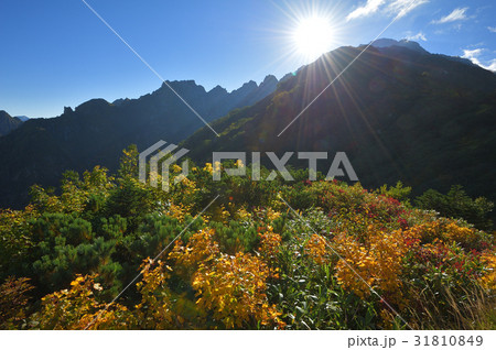 早月尾根から見た剱岳山頂と小窓尾根 31810849