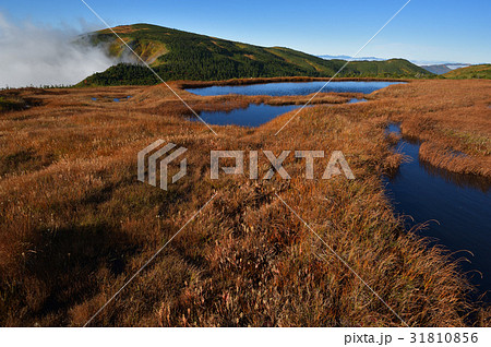 池ノ岳の池塘と平ヶ岳 31810856