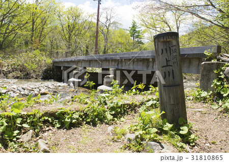 川上川の桟橋 31810865
