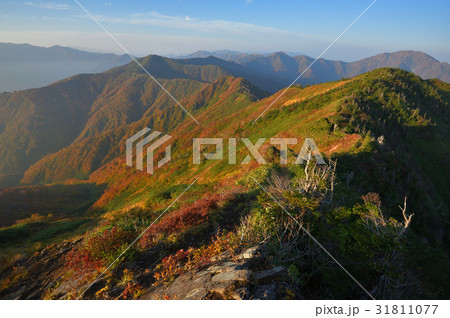 荒沢岳山頂から見た兎岳への紅葉の尾根 31811077