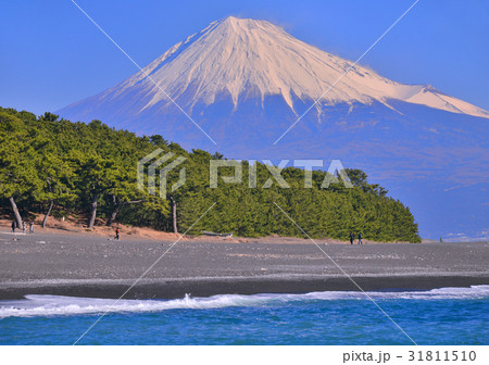 三保海岸と富士山-88476 31811510