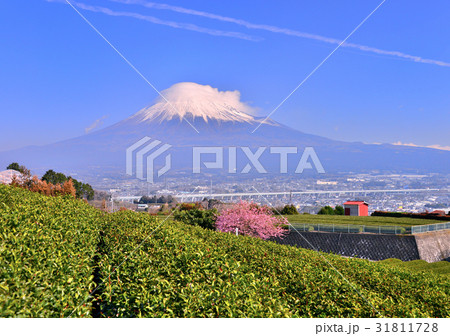 岩本山からの風景-60215 31811728