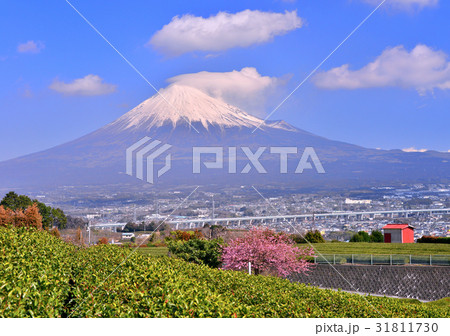 岩本山からの風景-60217 31811730