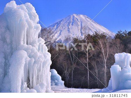 西湖野鳥の森公園と富士山-778529 31811745