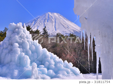 西湖野鳥の森公園と富士山-778538 西湖野鳥の森公園と富士山-778538 31811754