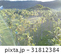 Resort with aerial view 31812384