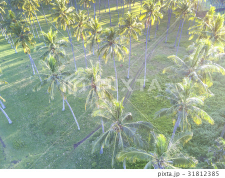 Resort with aerial view 31812385