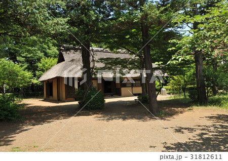 藁葺き屋根 藁葺き屋根 31812611