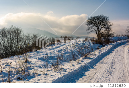 tree by the countryside road in winter mountains tree by the countryside road in winter mountains 31812620
