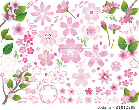 桜の花 いろいろセット １のイラスト素材