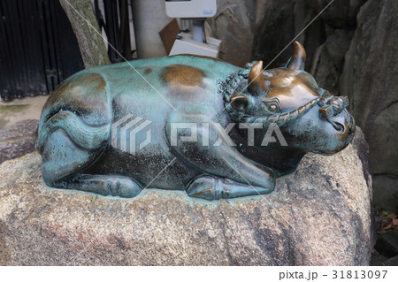 大阪天満宮 神の使いの臥牛の像 大阪天満宮 神の使いの臥牛の像 31813097
