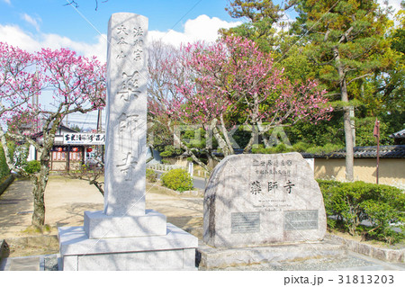 奈良 薬師寺 奈良 薬師寺 31813203