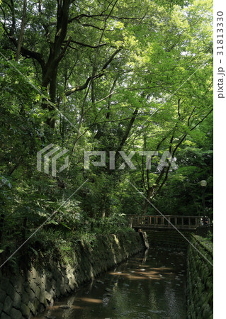 等々力公園(3) 等々力公園(3) 31813330