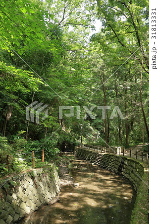 等々力渓谷公園（４） 31813331