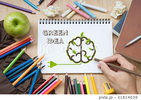 hand drawing brain on book. concept green idea 31814039