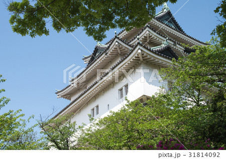 下から見た和歌山城の天守 31814092