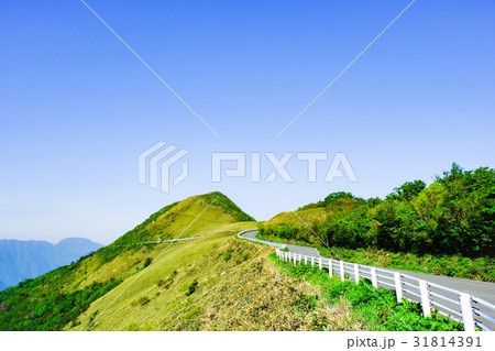 瓶ヶ森林道 31814391
