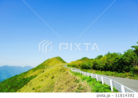 瓶ヶ森林道 31814392