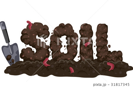 Soil 31817345