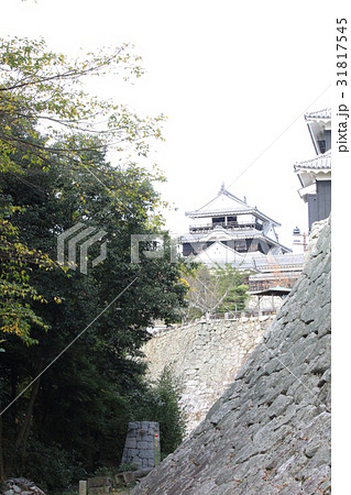 秋の伊予松山城 秋の伊予松山城 31817545