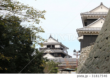 秋の伊予松山城 秋の伊予松山城 31817546