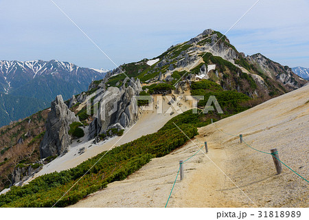 初夏の北アルプス　燕岳 31818989