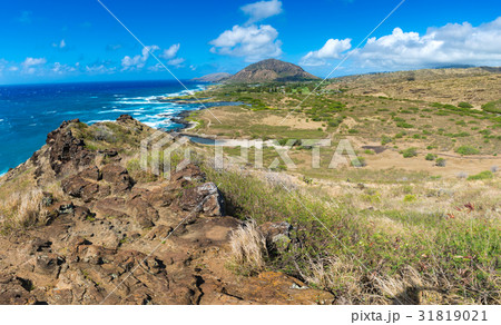 Koko Crater 31819021