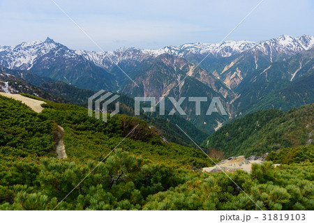 初夏の北アルプス 槍ヶ岳と裏銀座の山並み 初夏の北アルプス 槍ヶ岳と裏銀座の山並み 31819103