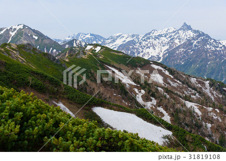 初夏の北アルプス　槍ヶ岳と表銀座の山並み 31819108