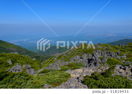 初夏の八ヶ岳連峰・黒百合平と諏訪・茅野の町並み 31819433