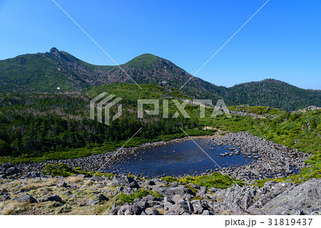 初夏の八ヶ岳連峰　黒百合平と天狗岳 31819437