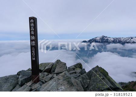 初夏の北アルプス 西穂独標 初夏の北アルプス 西穂独標 31819521