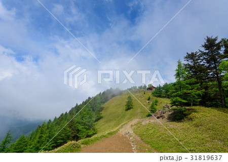 初夏の奥秩父 雲取山 初夏の奥秩父 雲取山 31819637