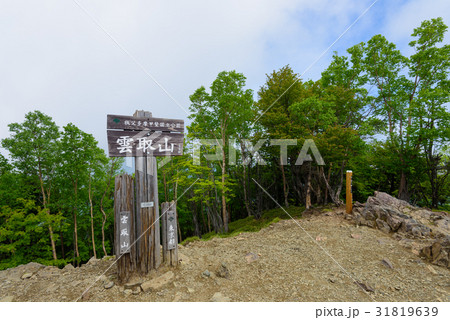 初夏の奥秩父 雲取山 初夏の奥秩父 雲取山 31819639