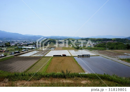田植え前 田植え前 31819801