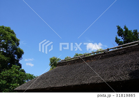 大王わさび農場その５ 31819865