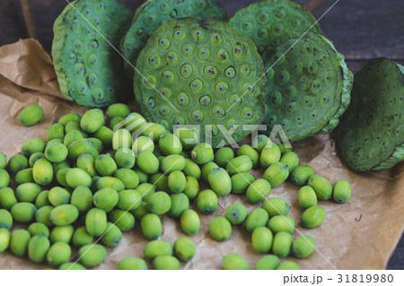 Lotus Seeds 31819980