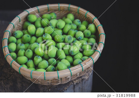 Lotus Seeds 31819988