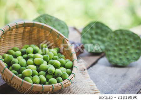 Lotus Seeds 31819990
