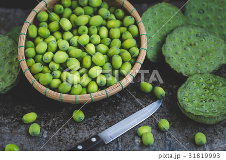 Lotus Seeds 31819993