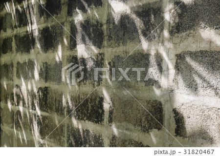 Shadow of leave on grunge concrete wall 31820467