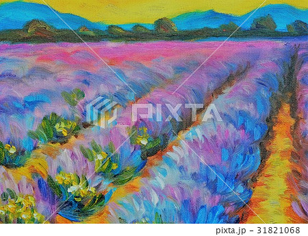 Beautiful lavender field at sunset 31821068