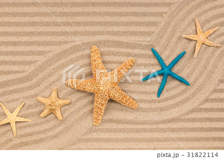 Starfish and a zigzag from the sand. Starfish and a zigzag from the sand. 31822114