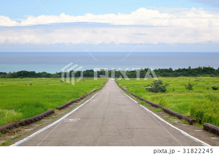 King kong avenue in Taitung 31822245