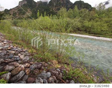 上高地 上高地 31823460
