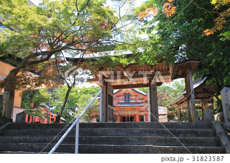 紅葉八幡宮（福岡市早良区） 31823587