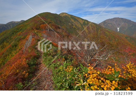 巻倉山から兎岳、中ノ岳方面を見る 31823599
