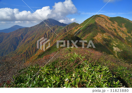 大水上山から見た兎岳と越後三山 31823880