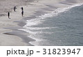 海岸線 31823947